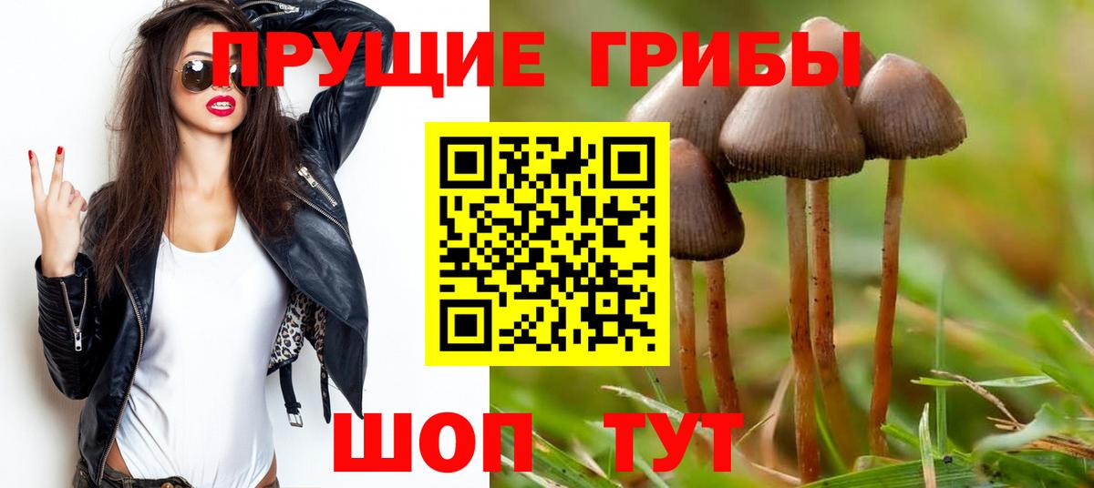 Йошкар-Ола  Галлюциногенные грибы Psilocybine cubensis  Псилоцибиновые грибы мицелий  Вход с VPN 