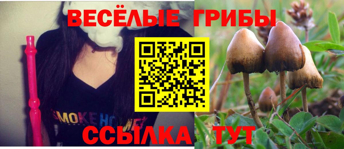 Псилоцибиновые грибы мицелий Йошкар-Ола